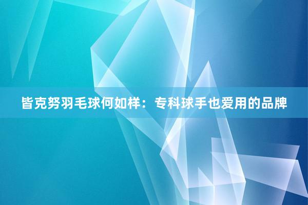 皆克努羽毛球何如样：专科球手也爱用的品牌