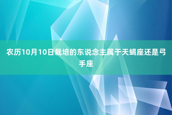农历10月10日栽培的东说念主属于天蝎座还是弓手座