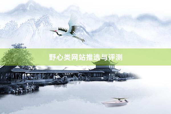野心类网站推选与评测